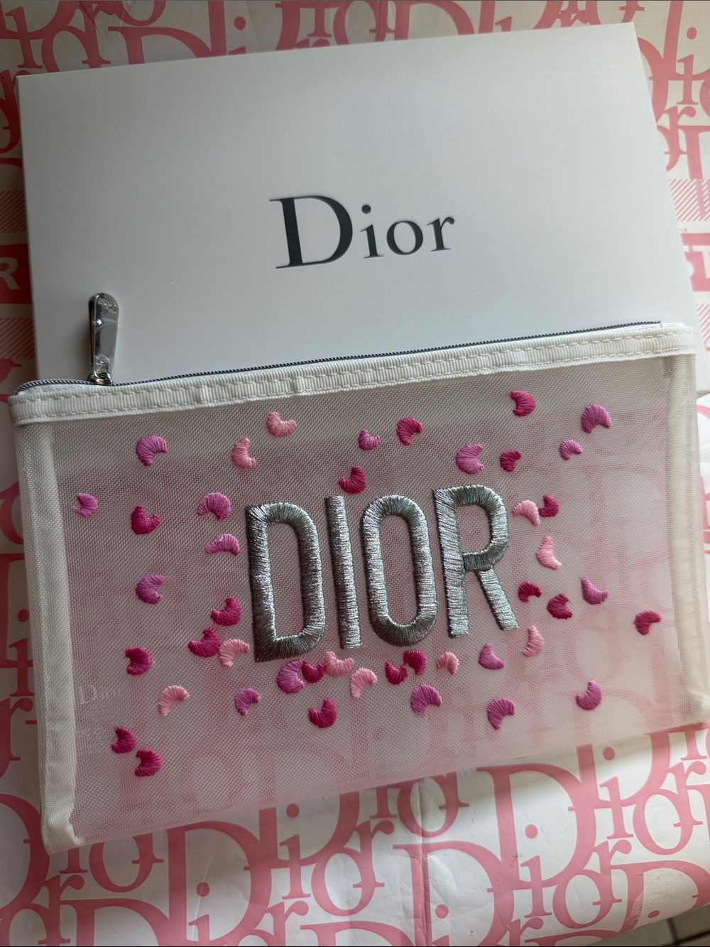 Christian Dior Novelty Pouch mesh gift vanity AMAZING New in Box🩷